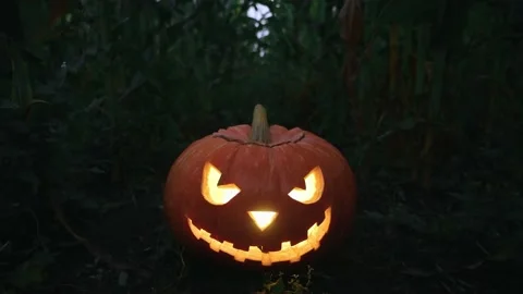 Spooky glowing jack-o-lantern pumpkin on the ground in a cornfield. Stock Footage 138125112
