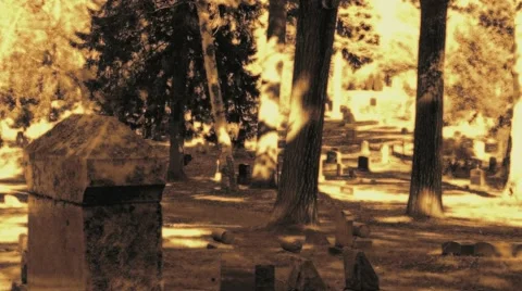 Spooky Graveyard Stockbeeldmateriaal 45531600