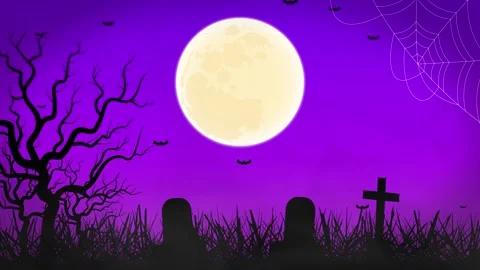 Spooky Graveyard Halloween Background with Full Moon, Bats and Cobweb. Stock Footage 316160610