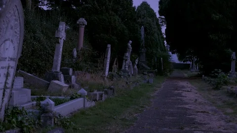 Spooky Graveyard Night Scene 스톡 동영상 116558131