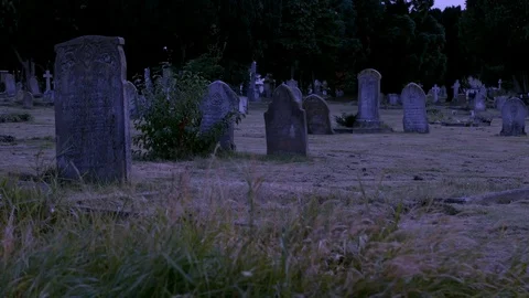 Spooky Graveyard Night Scene 스톡 동영상 120694383