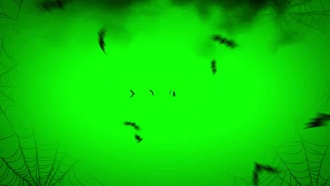 Spooky green background with spider webs Stock-Footage 337327009