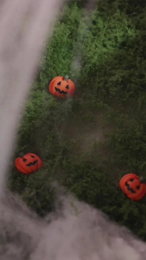 Spooky Halloween background with scattered pumpkins and fog Stock Footage 342423463