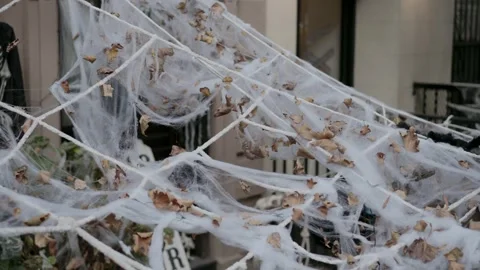 Spooky Halloween Decorations Featuring Cobwebs, Skeletons, and Eerie Imagery for Stock Footage 314251107