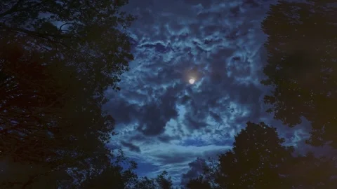 Spooky Halloween Moon Night Sky Stock Footage 339972018