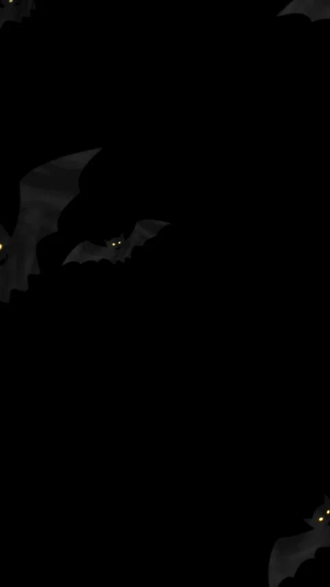 Spooky Halloween night background animation. flying vampire bats background Stock Footage 341913419