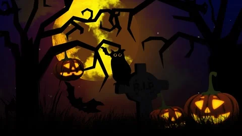Spooky Halloween Night Scene with Pumpkins and Mysterious Owl Stock Footage 345210385