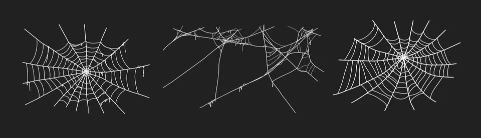 Spooky halloween old spider web with various sizes and shapes. Old cobweb set Illustrazione stock