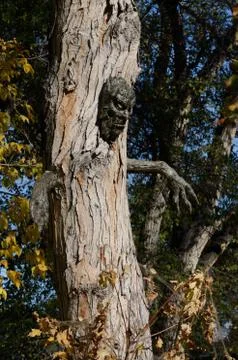 Spooky Halloween tree Stock Photos