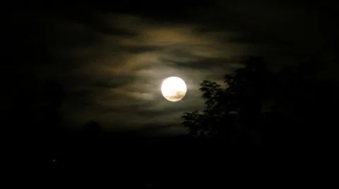 Spooky Horror Full Moon sets behind trees Stock Footage
