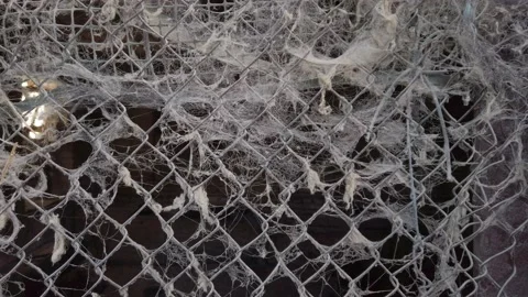 Spooky huge spider web made by many spiders on a window of an abandoned house -  Stock Footage 163216922