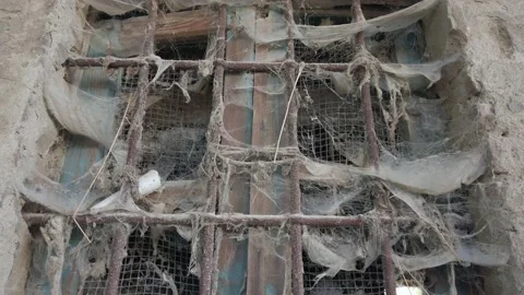 Spooky huge spider web made by many spiders on a window of an abandoned house -  Stock Footage 163216930