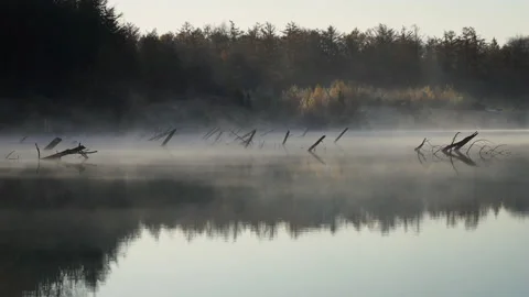 Spooky lake Stock Footage 156549256