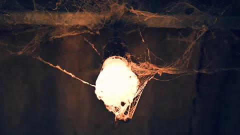  spooky Light Bulb Covered In Cobwebs  Video stock 148126290