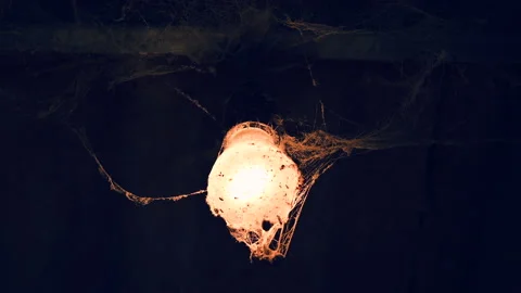  spooky Light Bulb Covered In Cobwebs  Video stock 148171653