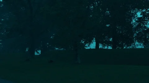 Spooky Lightning Storm Lighting up the Night Stock Footage 78043233