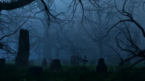 Spooky misty graveyard with dark silhouettes of dead trees at night Video stock 334104796