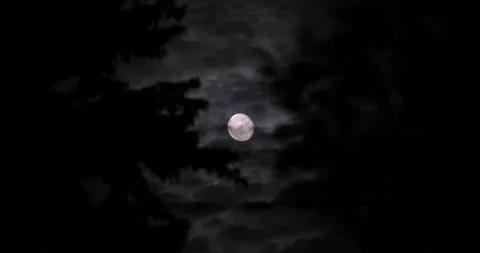 Spooky moon as clouds move by, 4k Stock Footage 234231216