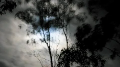 Spooky moon light Stock Photos