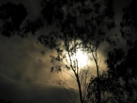Spooky moon light Stock Photos