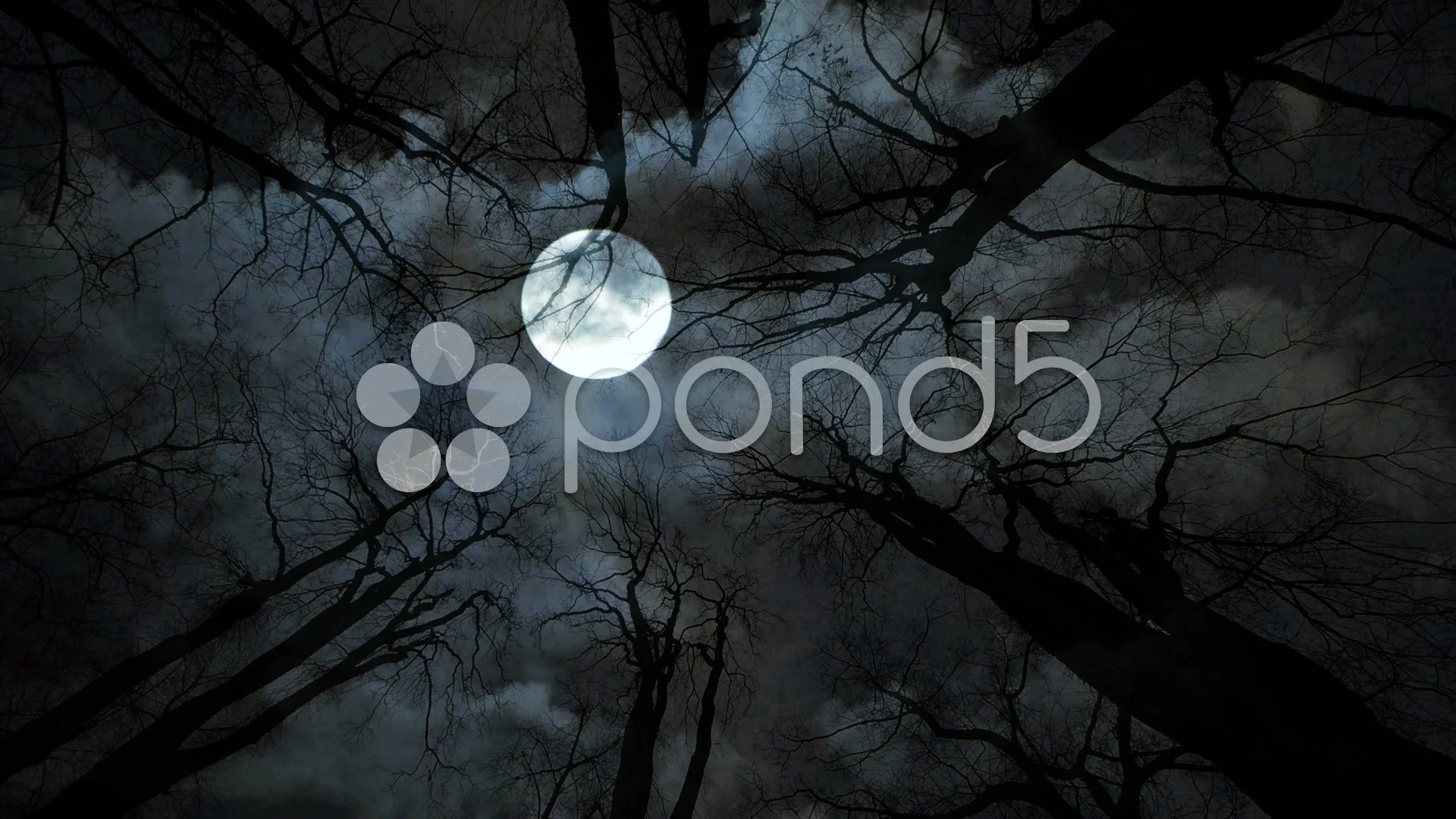 spooky moon night. trees silhouette. hor... | Stock Video | Pond5
