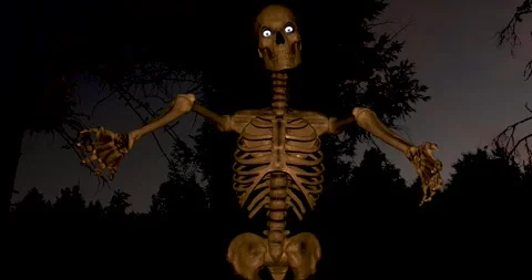 Spooky moving Skeleton head bathed in gold light 動画素材 289302590