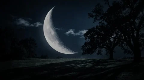 Spooky Night Landscape with Large Crescent Moon and Bats 4K Video Stockbeeldmateriaal 333598938