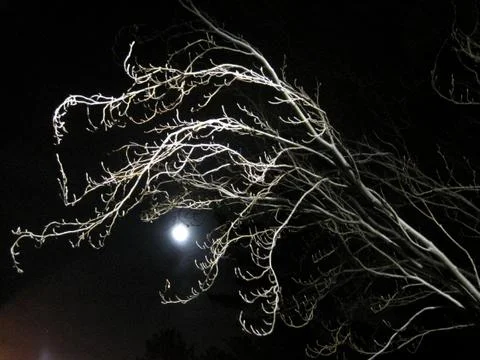 Spooky Night Foto stock