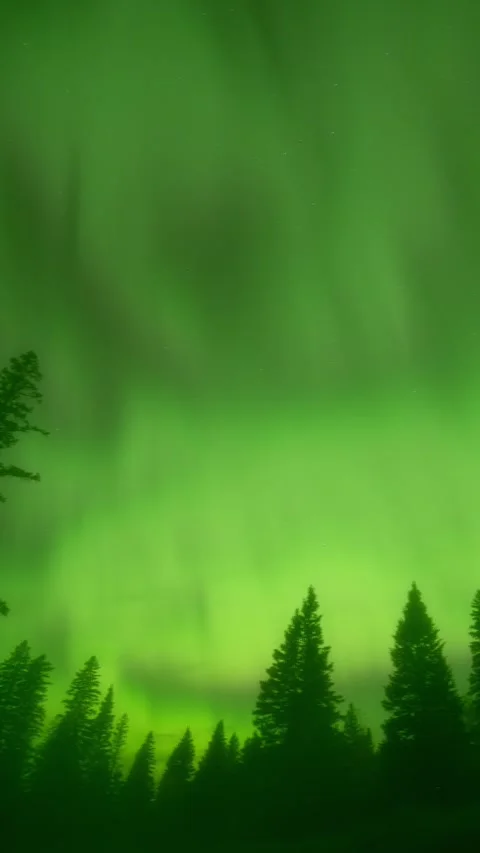 Spooky night time lapse with churning green Aurora above silhouetted evergreens Stock Footage 289328014