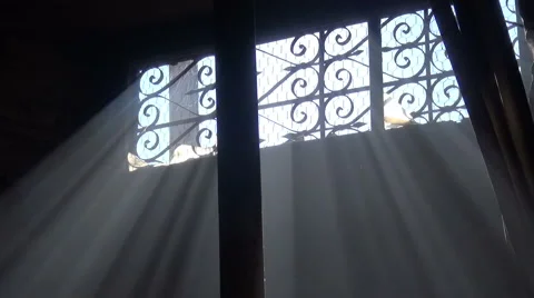 Spooky Old Basement With Sun Light Shafts And Dripping Water (1) Stock Footage 57695828