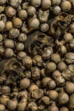 Spooky pattern human skull and bones vertical set background Stock Photos