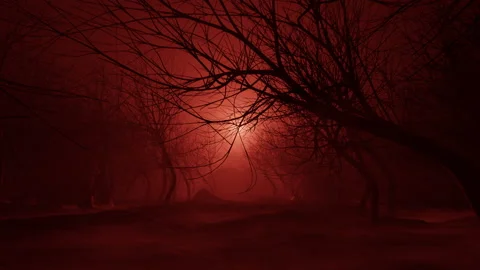 Spooky red fog shrouds the dead trees in this haunted forest blood moon. Stock Footage