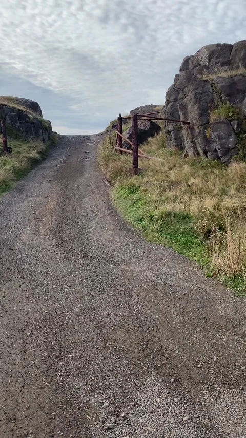 Spooky road Stock Footage 253285904