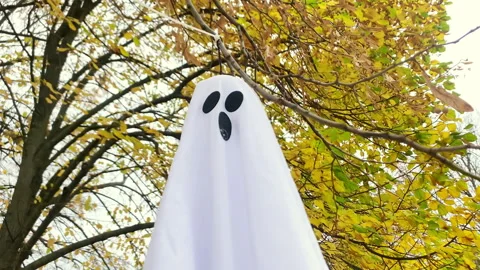 Spooky silhouette ghosts faces waving on wind on halloween forest background Stock Footage 345665711