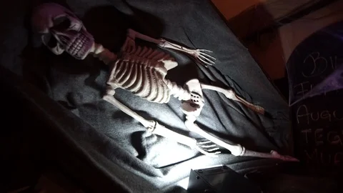 Spooky Skeleton on Wall Vídeo Stock 88402641