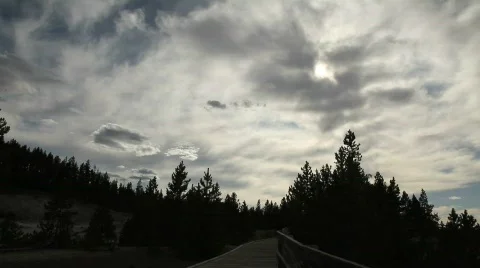 Spooky Sky with Silhouetted Trees Stock Footage 526787