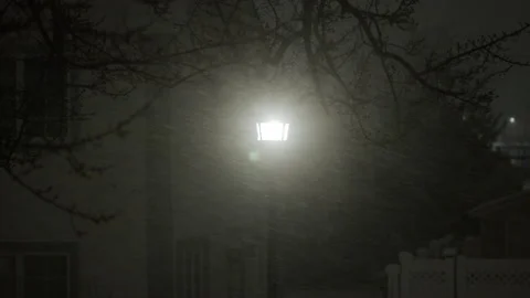 Spooky Snowy Light Post Stock Footage 190215681