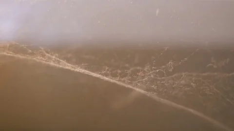 Spooky spider web cobweb on the wind indoor Stock Footage 82635437