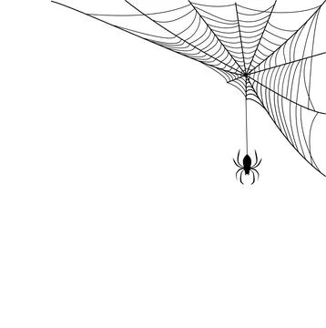 Spooky Spider Web Frame and Border Collection for Halloween Vector Stock Illustration