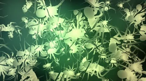 Spooky spiders animation Stock Footage 20503453