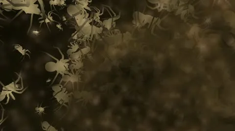 Spooky spiders animation Stock Footage 20503456