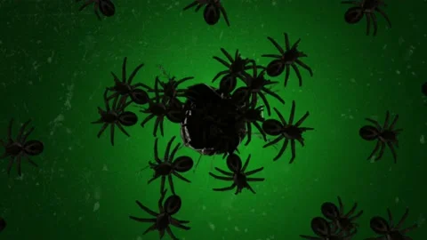 Spooky spiders motion graphics with green screen background Stock Footage 133684424