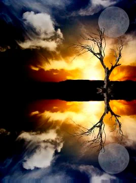 Spooky Sunrise Stock Illustration