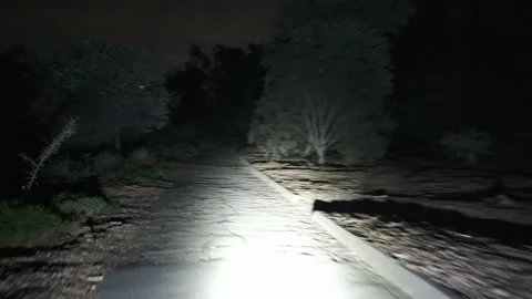 Spooky Trail 4 K Stock Footage 222016511