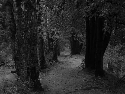 Spooky trail Stock Photos