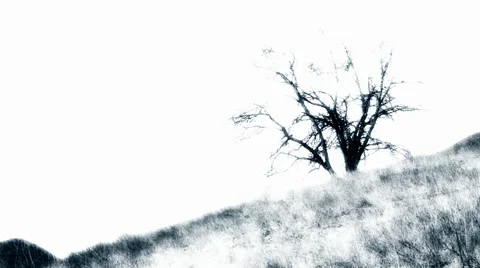 SPOOKY TREE ON A HILLSIDE Stock Footage 54185231