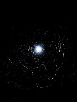 Spooky Tree shot on iPhone Stock Photos