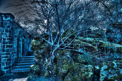 Spooky Tree shot Foto stock