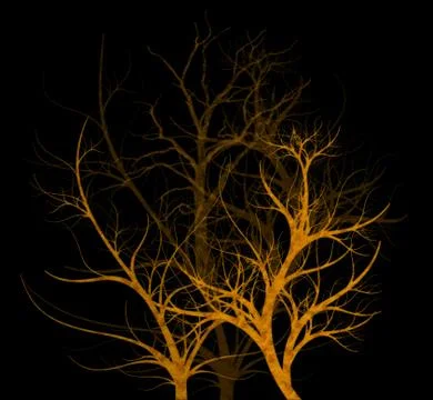 Spooky trees Stock Illustration