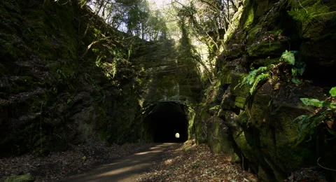 Spooky tunnel train tunnel Stock Footage
